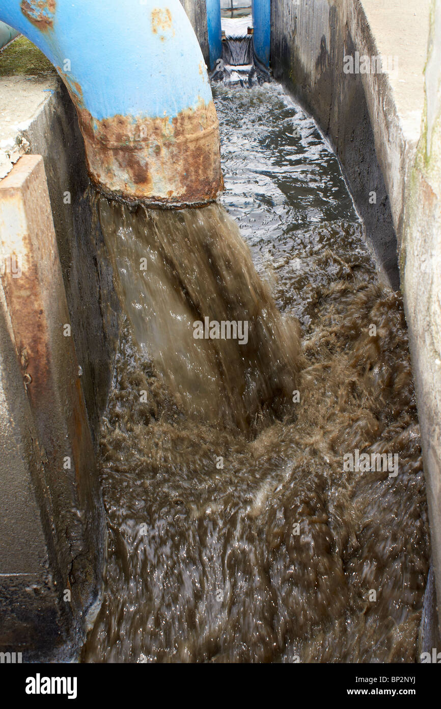 Activated Sludge High Resolution Stock Photography and Images Alamy
