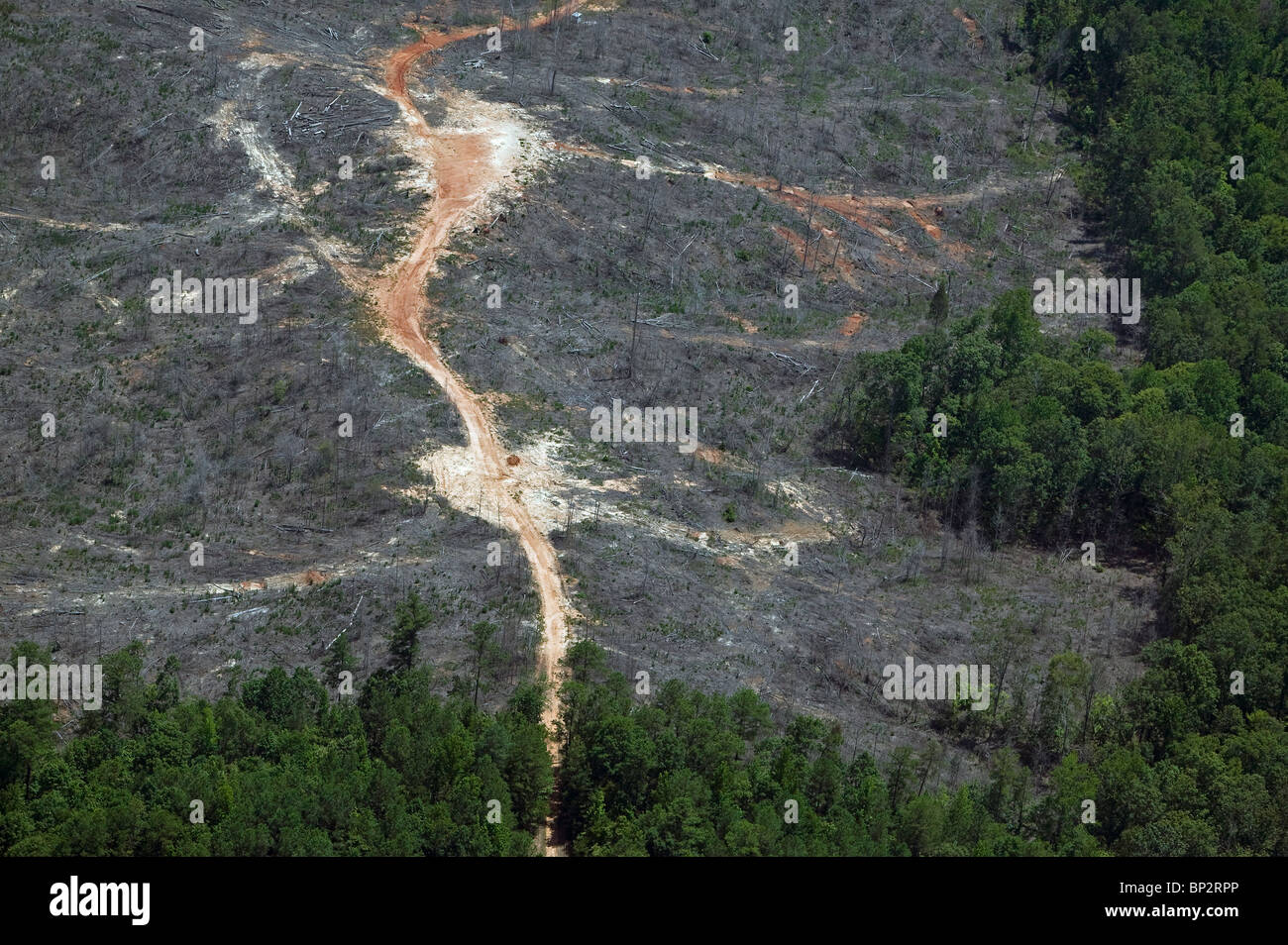 aerial view above clear cutting Alabama USA Stock Photo