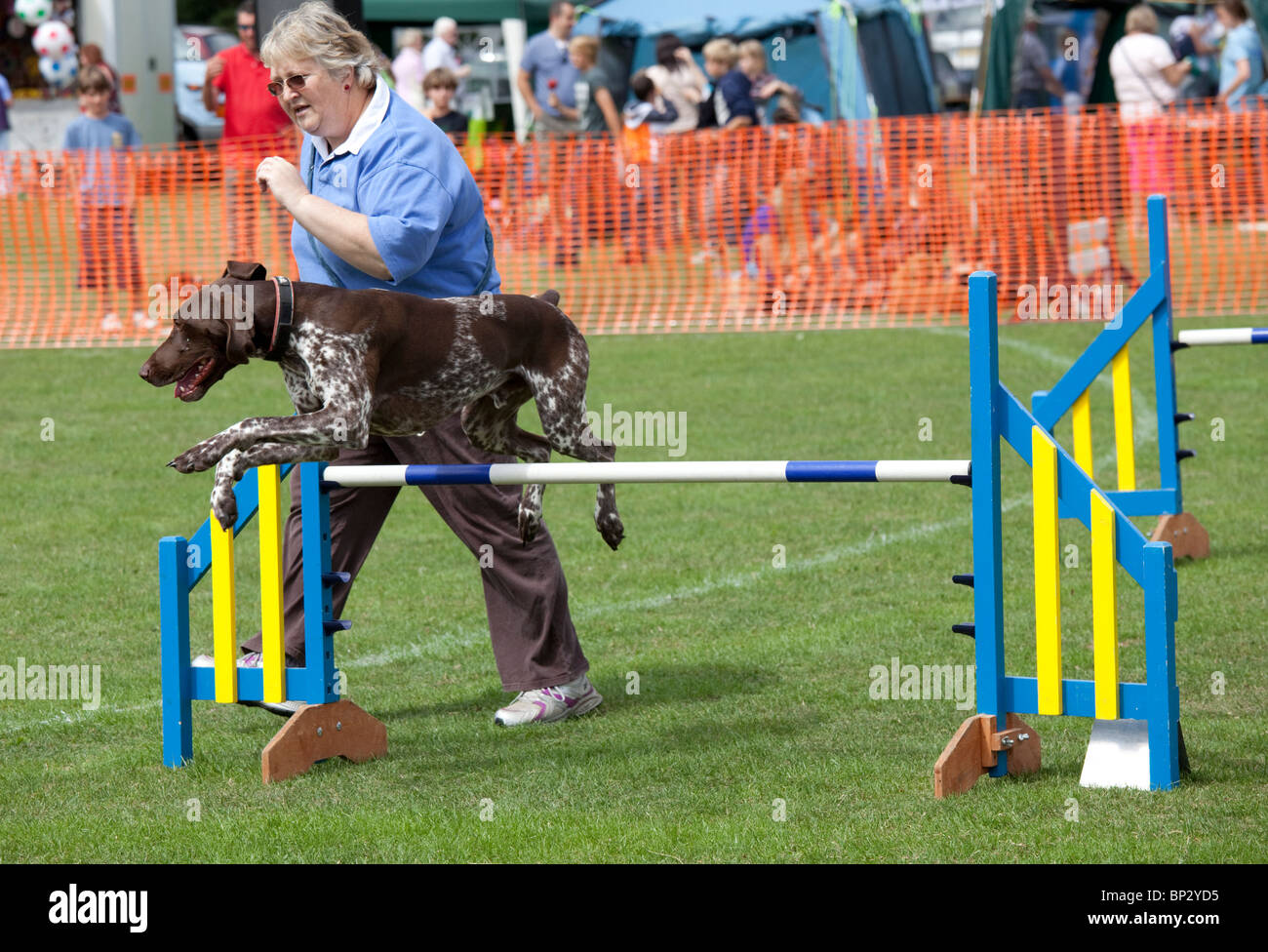 Jumping dog hires stock photography and images Alamy