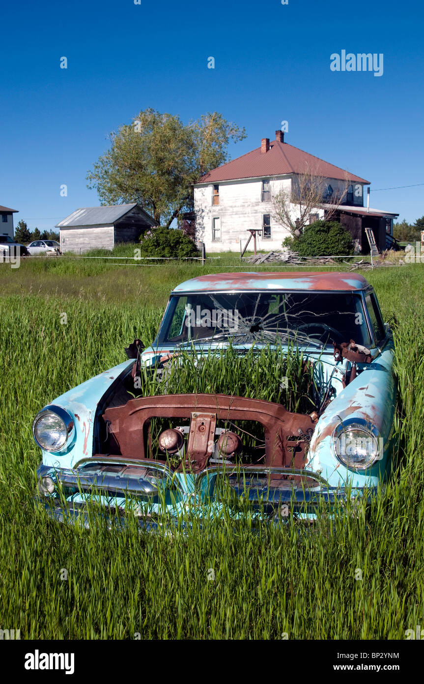 Abandoned overgrown car in a field at old western town of Flora, Oregon. Stock Photo
