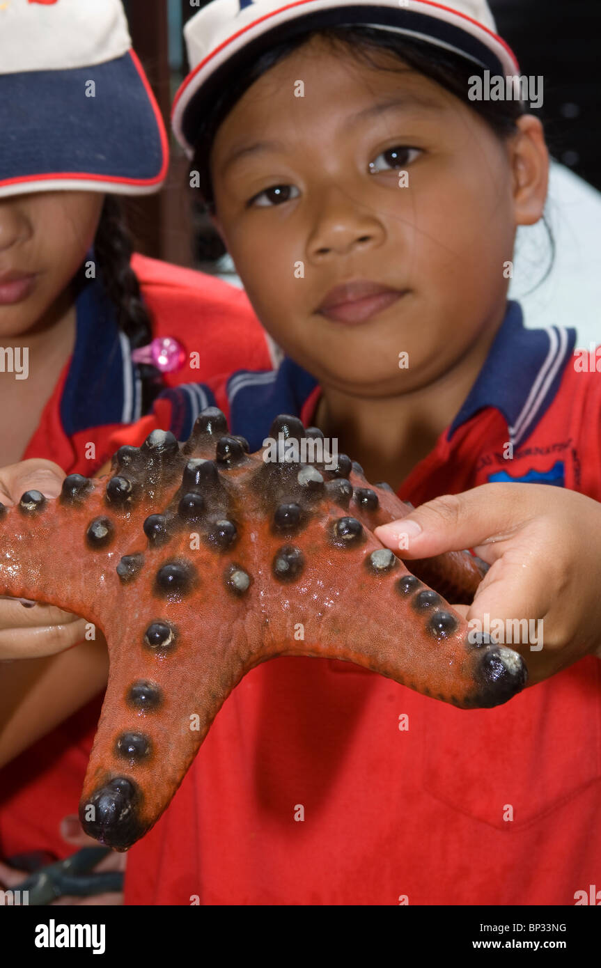 School children learning about marine life, Gayana Eco-Resort, Gaya Island, Sabah, East Malaysia. Stock Photo