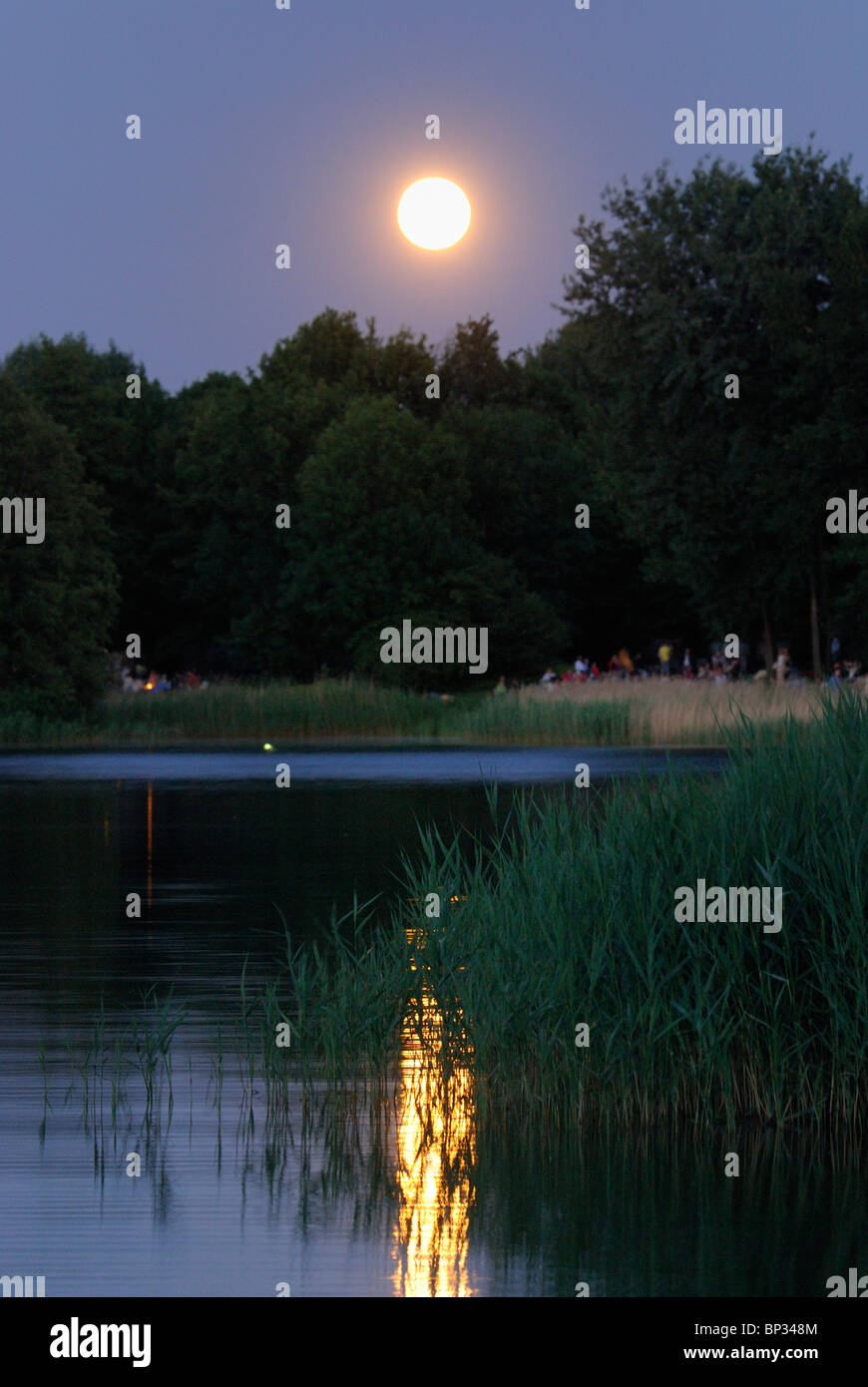 Midsummer night. Full moon over the lake, BUGA Park, Britzer Garten, Bundesgartenschau Park, Britz, Neukoelln, Berlin, Germany. Stock Photo