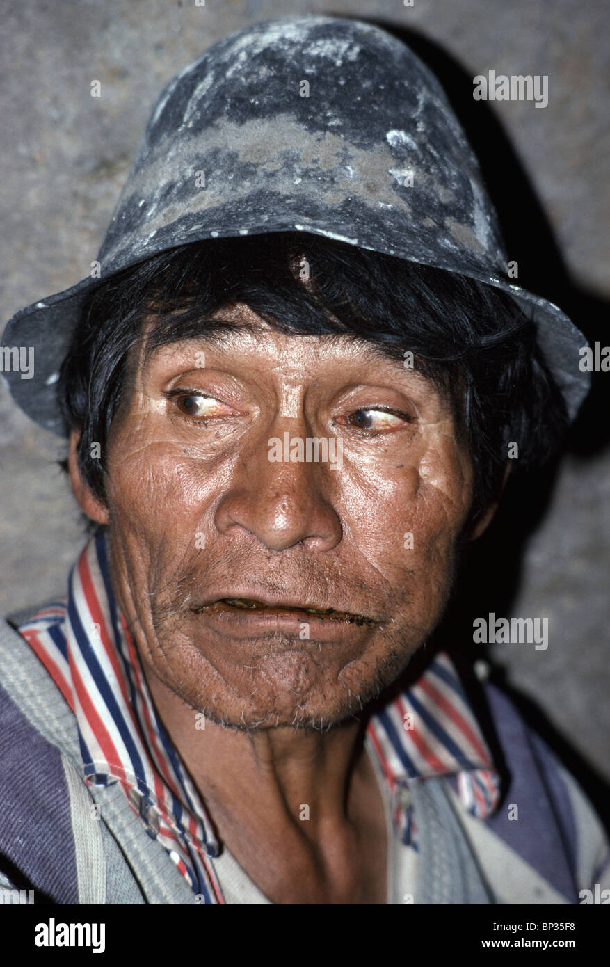 Coca leaves chewing hires stock photography and images Alamy