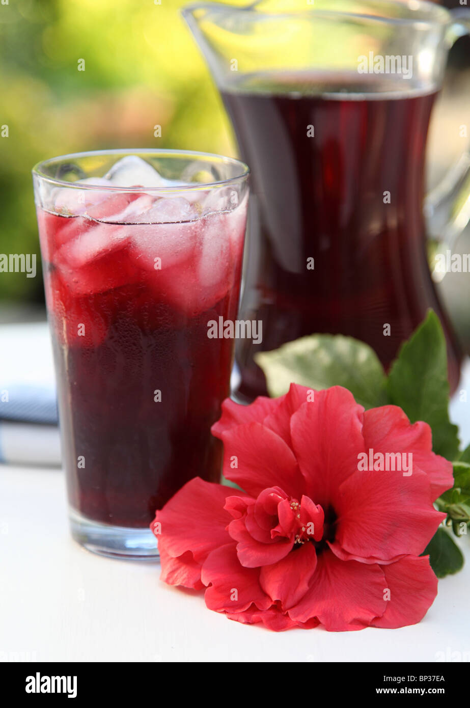 HIBISCUS OR ROSELLE JUICE Stock Photo