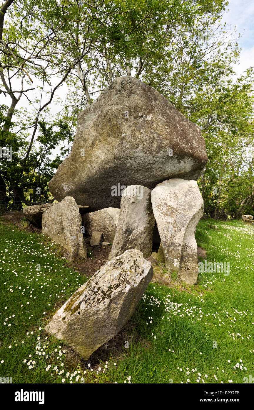Goward Dolmen, also called Cloghmore Cromlech. Hilltown, County Down, Northern Ireland. Prehistoric megalithic burial chamber Stock Photo