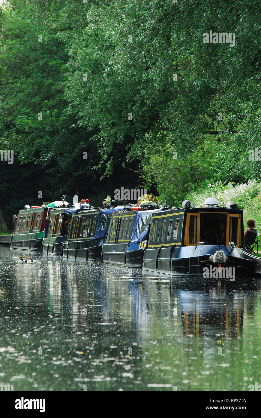 Narrow canal boat boats hi-res stock photography and images - Alamy
