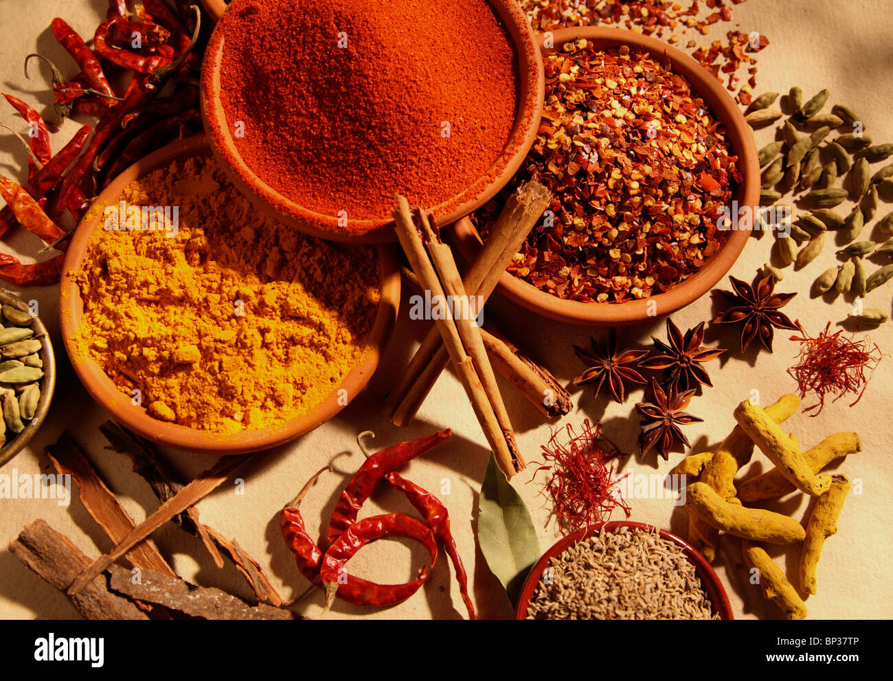DRIED SPICES Stock Photo
