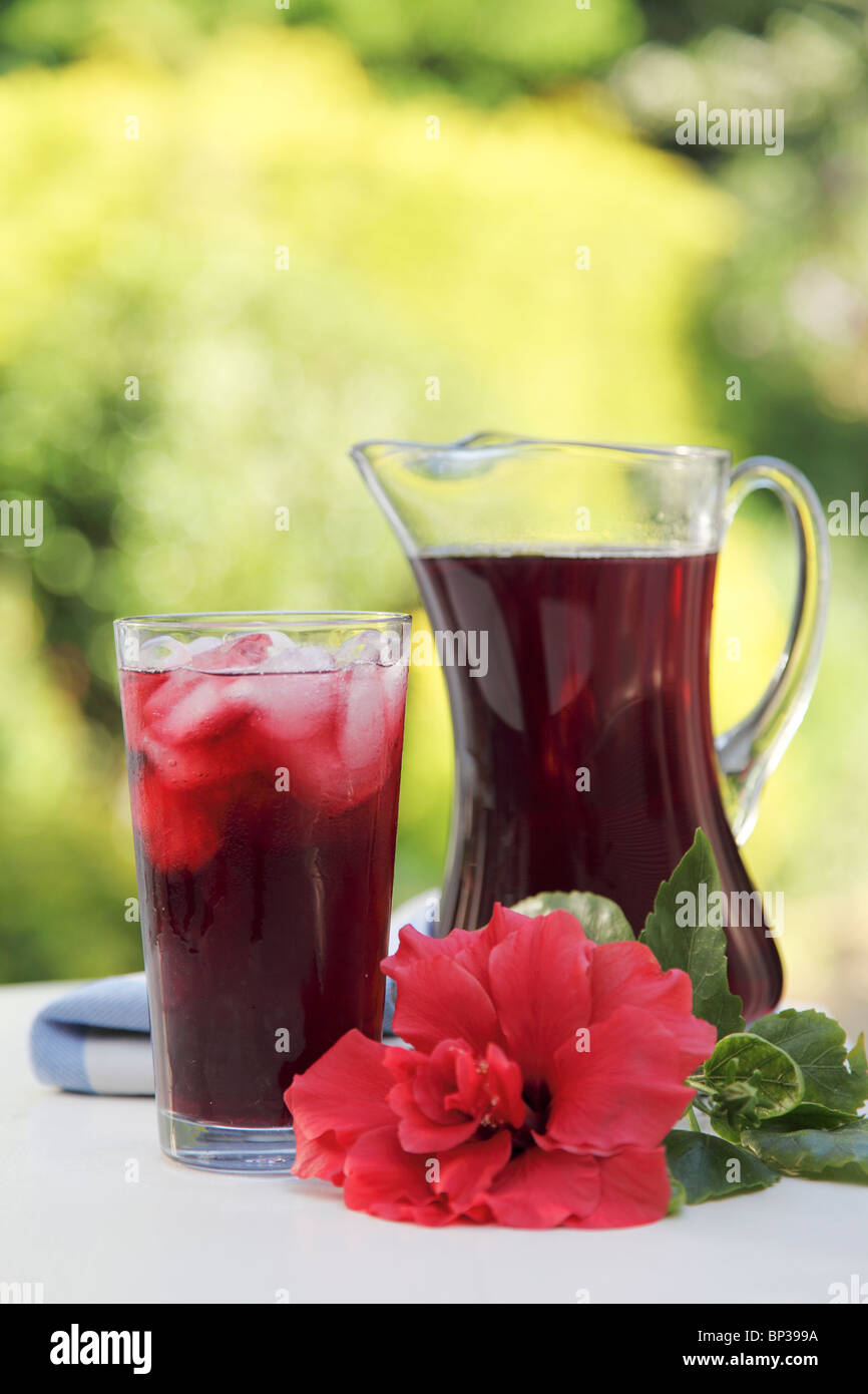 HIBISCUS OR ROSELLE JUICE Stock Photo