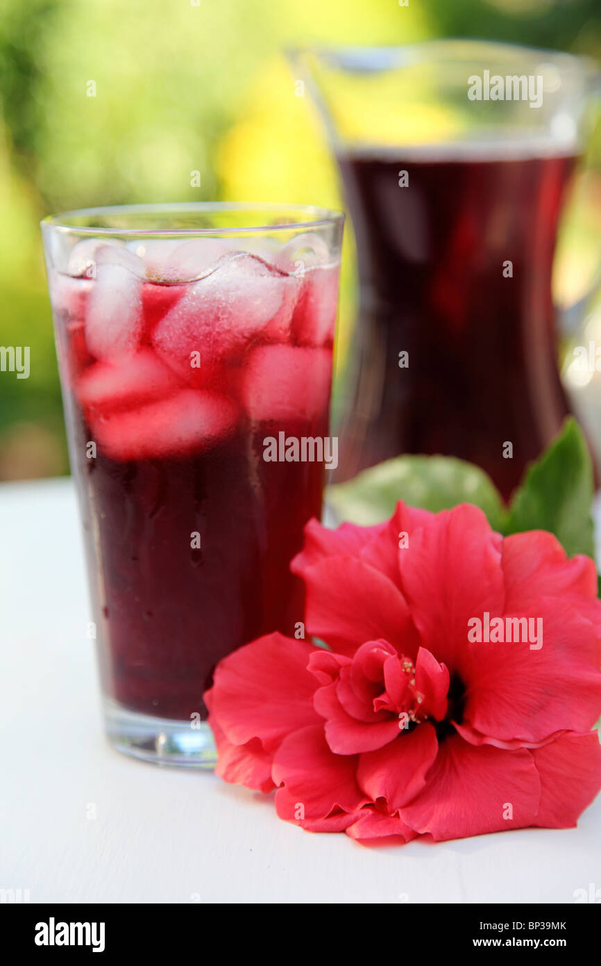 HIBISCUS OR ROSELLE JUICE Stock Photo Alamy
