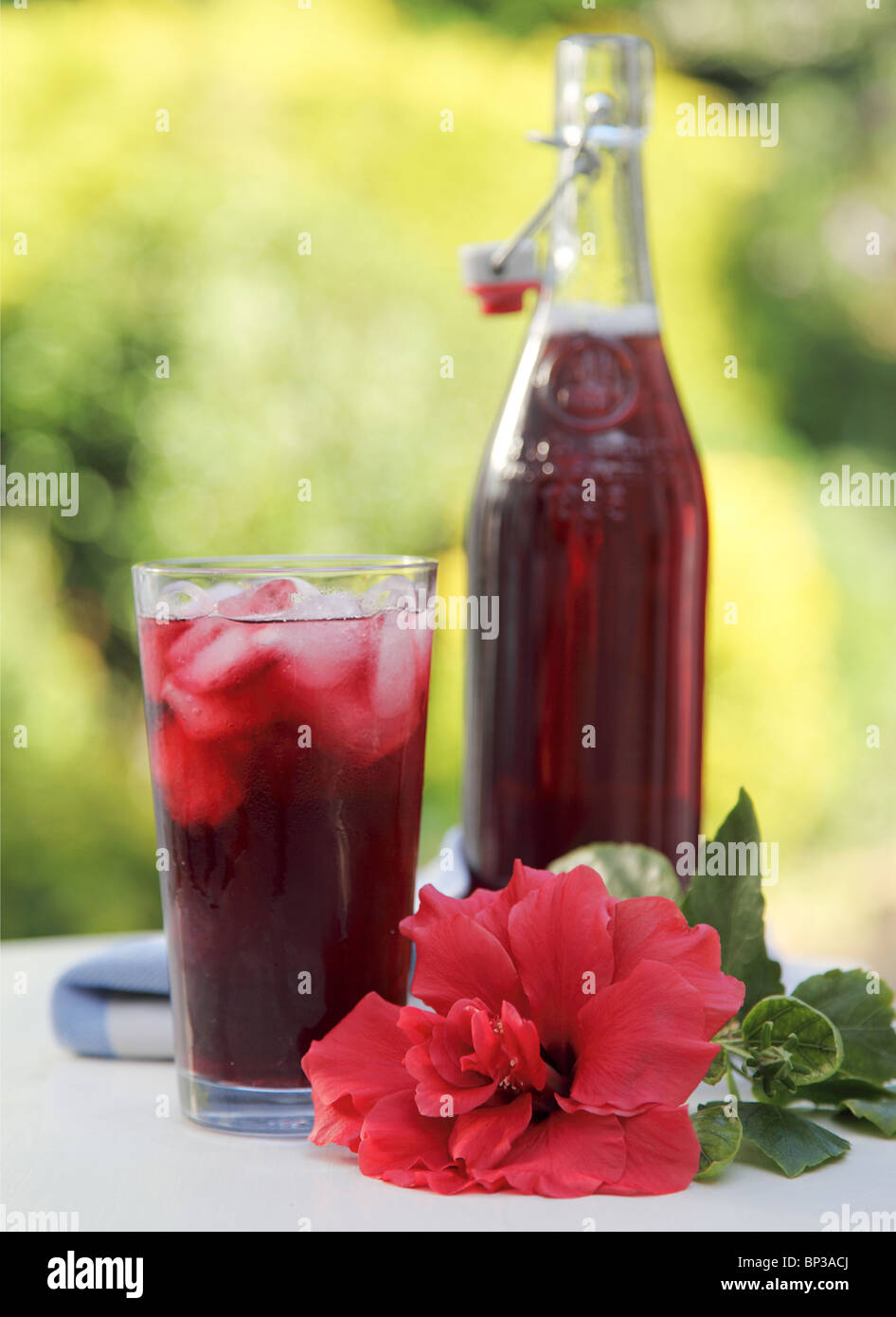 HIBISCUS OR ROSELLE JUICE Stock Photo