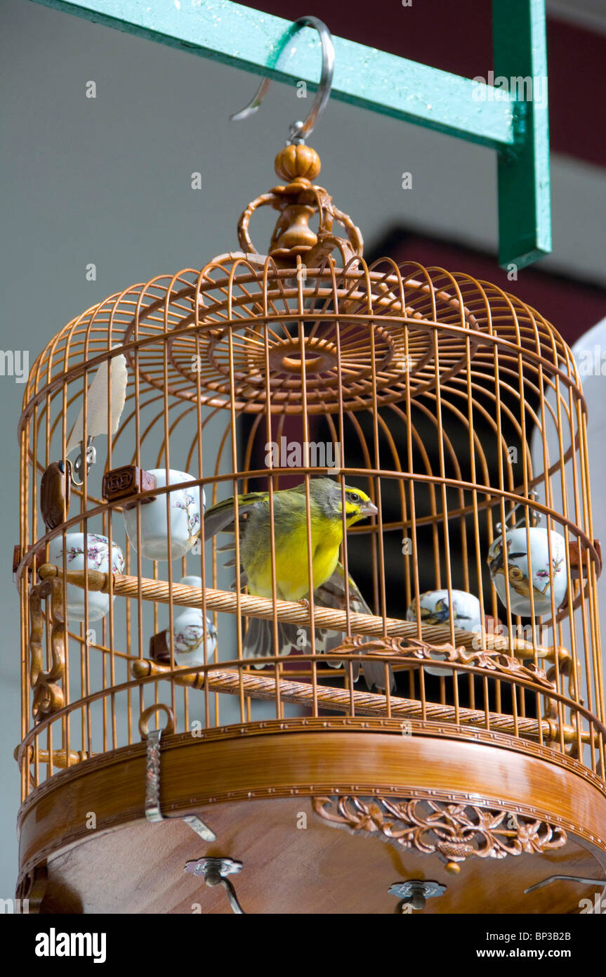 China, Hong Kong. Bird Garden & Market . Caged pet birds that are taken