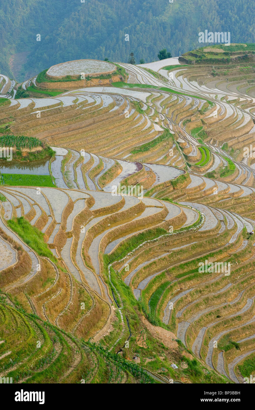 Seven Stars and Moon viewpoint, Dragon's Backbone Rice Terraces, near ...