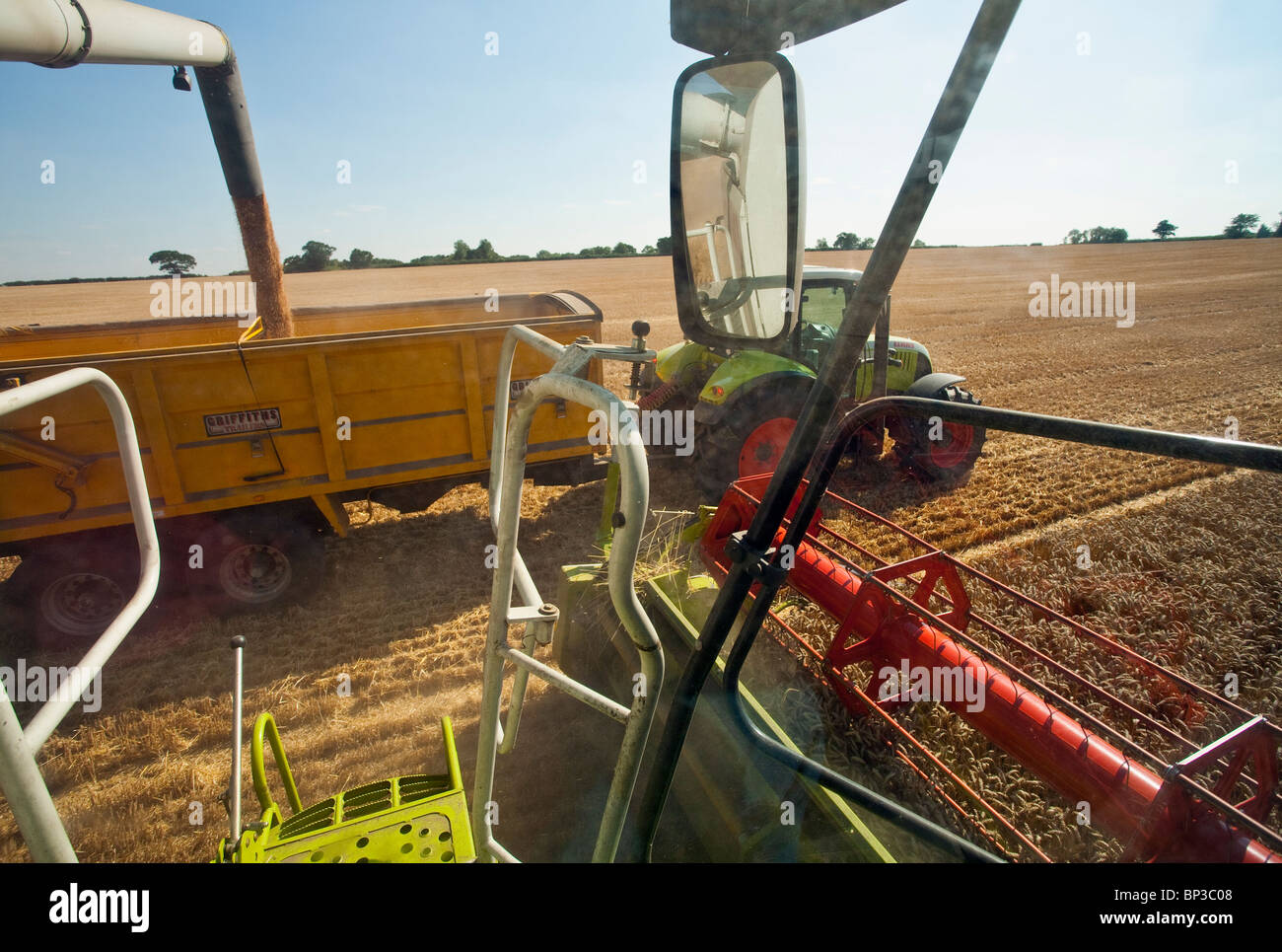 Discharging wheat grain from a combine harvester Stock Photo
