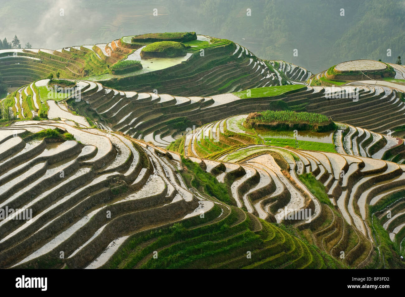 Seven Stars and Moon viewpoint, Dragon's Backbone Rice Terraces, near ...