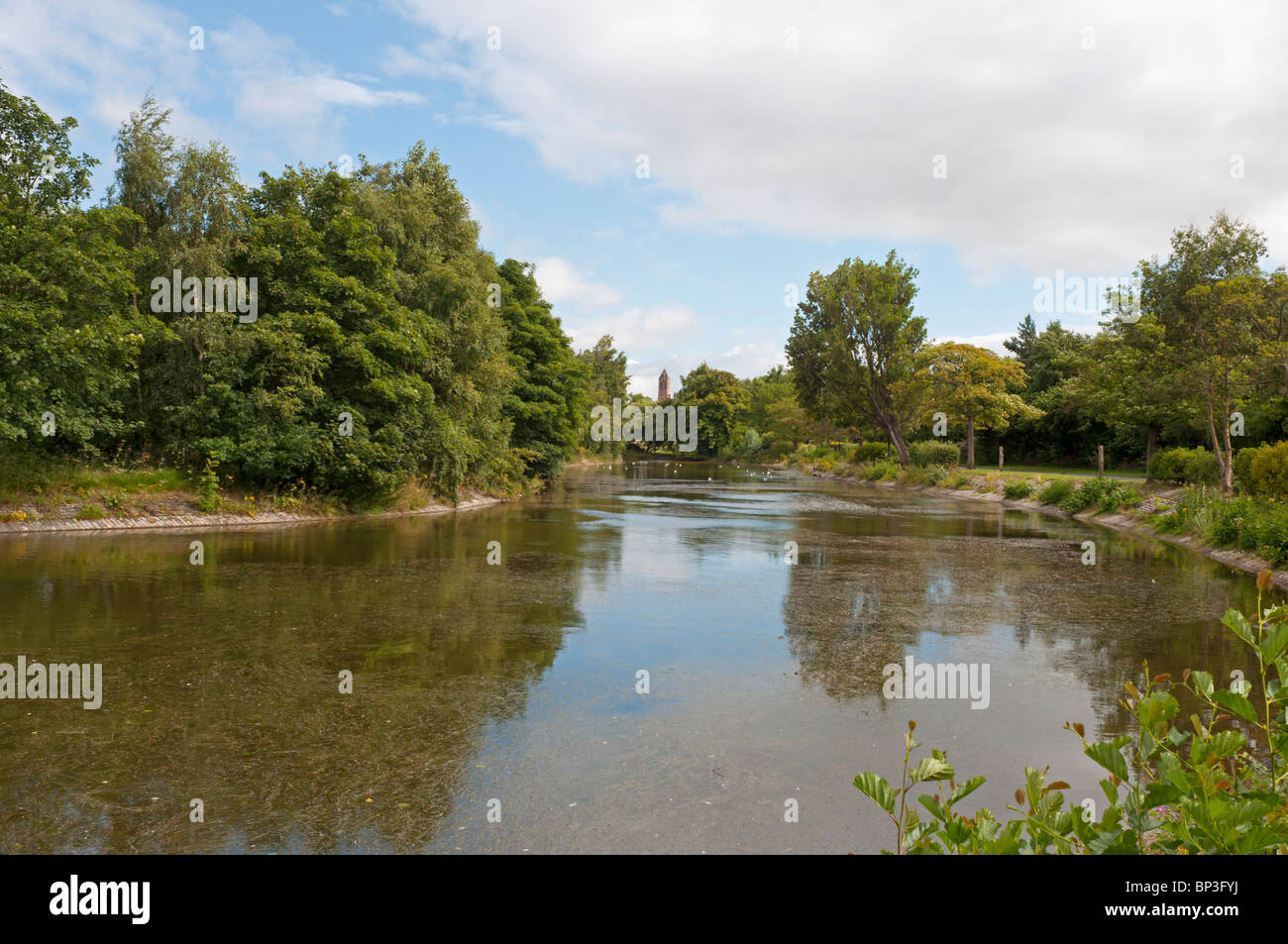 Scene from Victoria Park in East Belfast, An ASSI (Area of Special Scientific Interest). Stock Photo