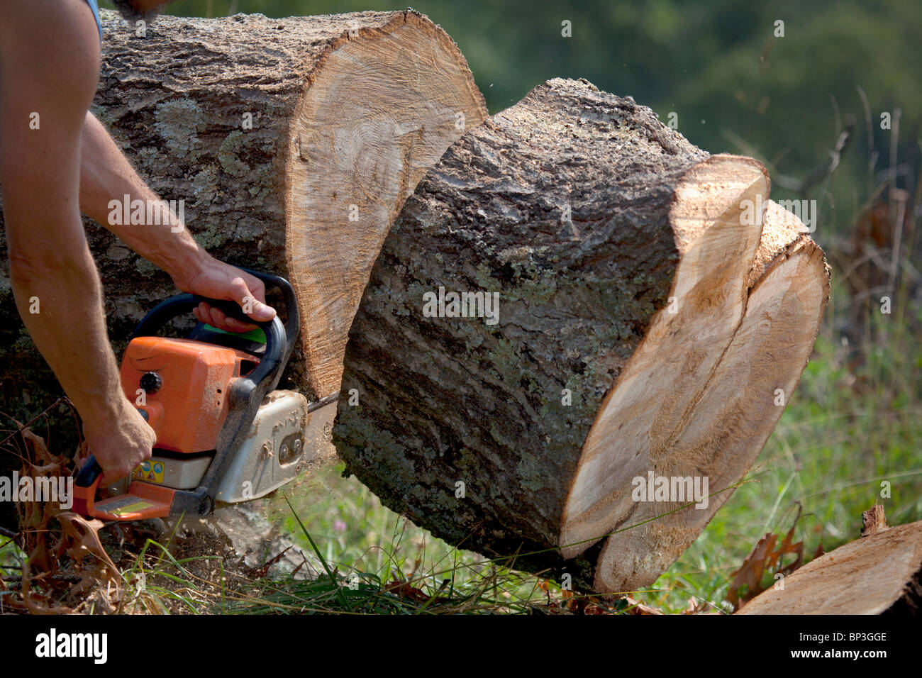 Lumber Jack High Resolution Stock Photography and Images Alamy