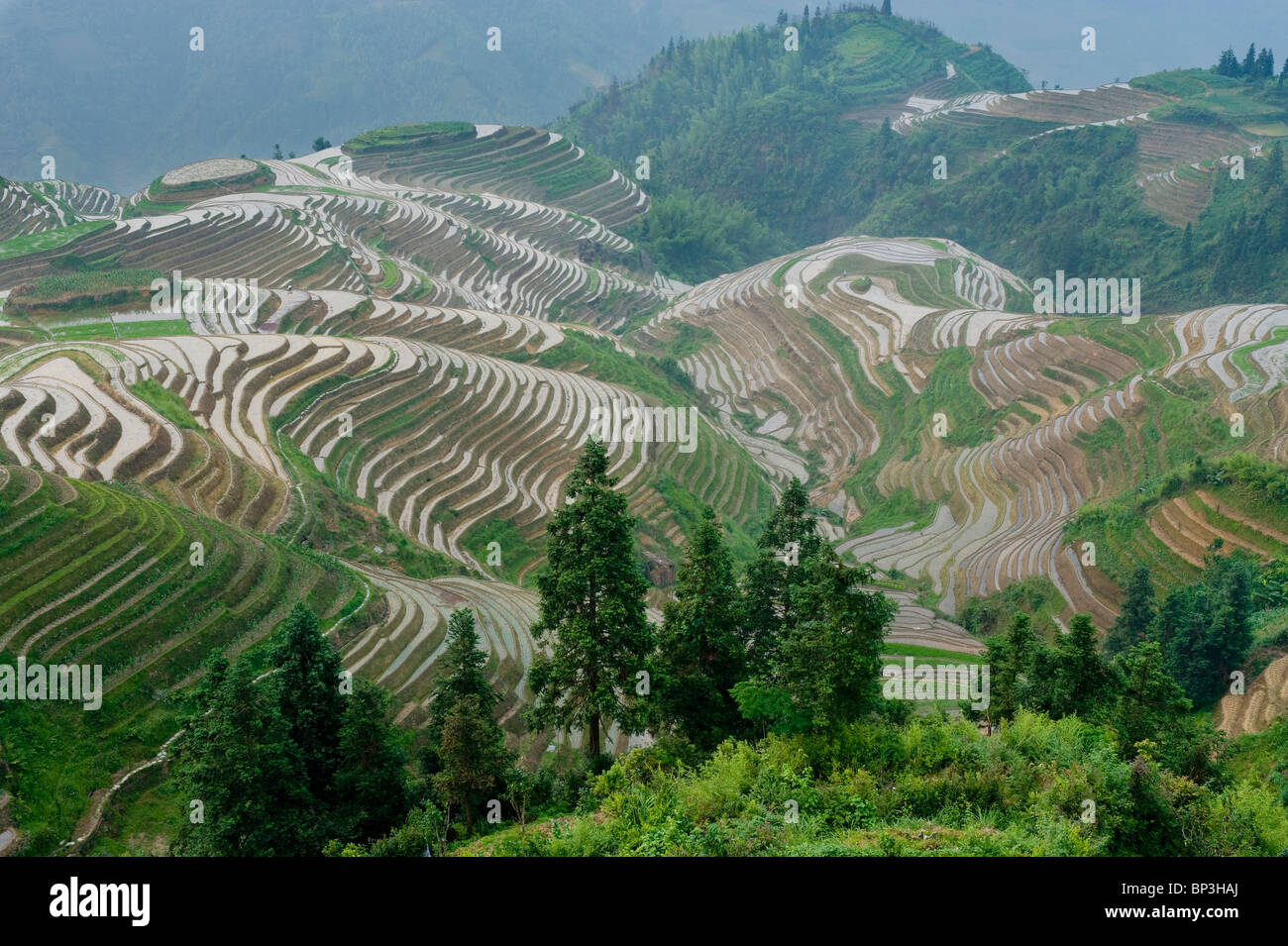 Seven Stars and Moon viewpoint, Dragon's Backbone Rice Terraces, near ...