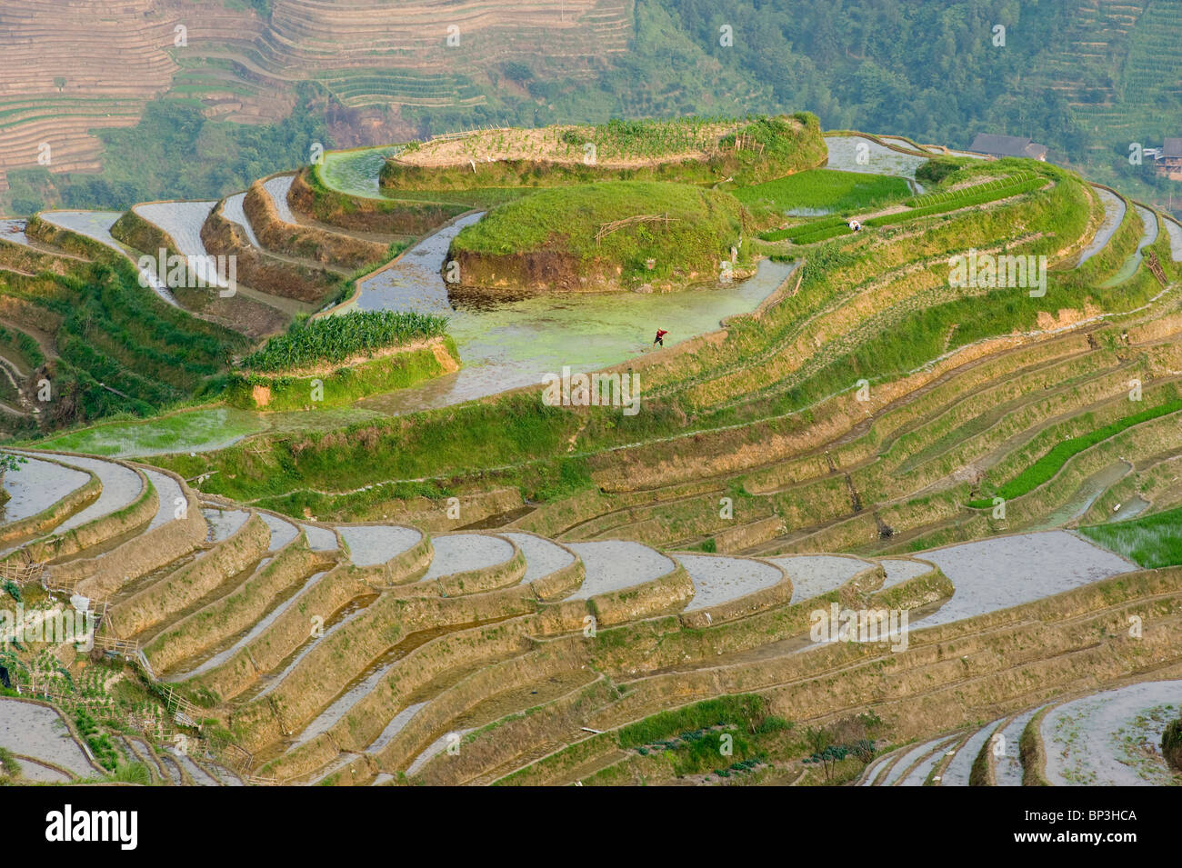 Seven Stars and Moon viewpoint, Dragon's Backbone Rice Terraces, near ...