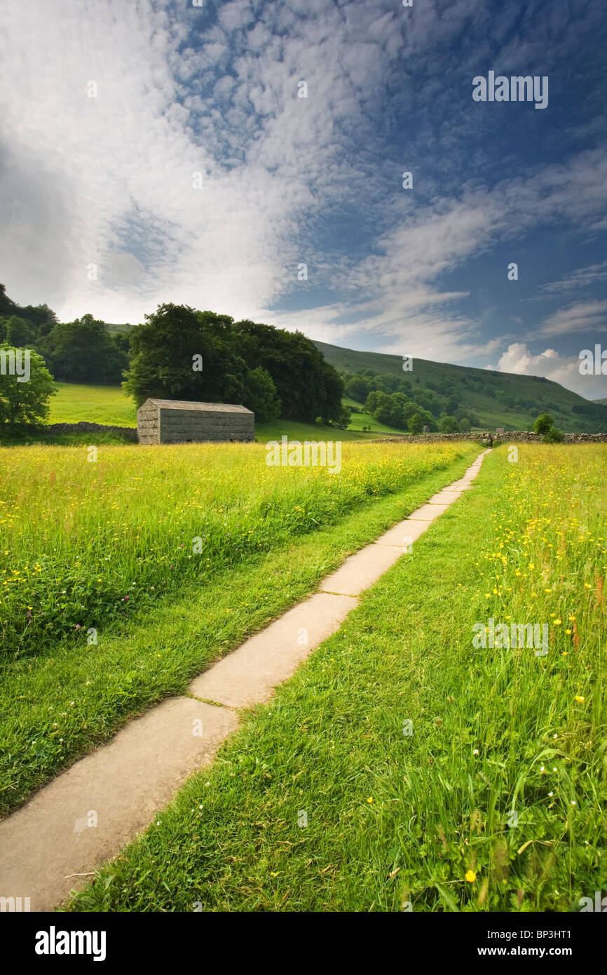 Stone flagged footpath leading through the traditional Hay Meadows of