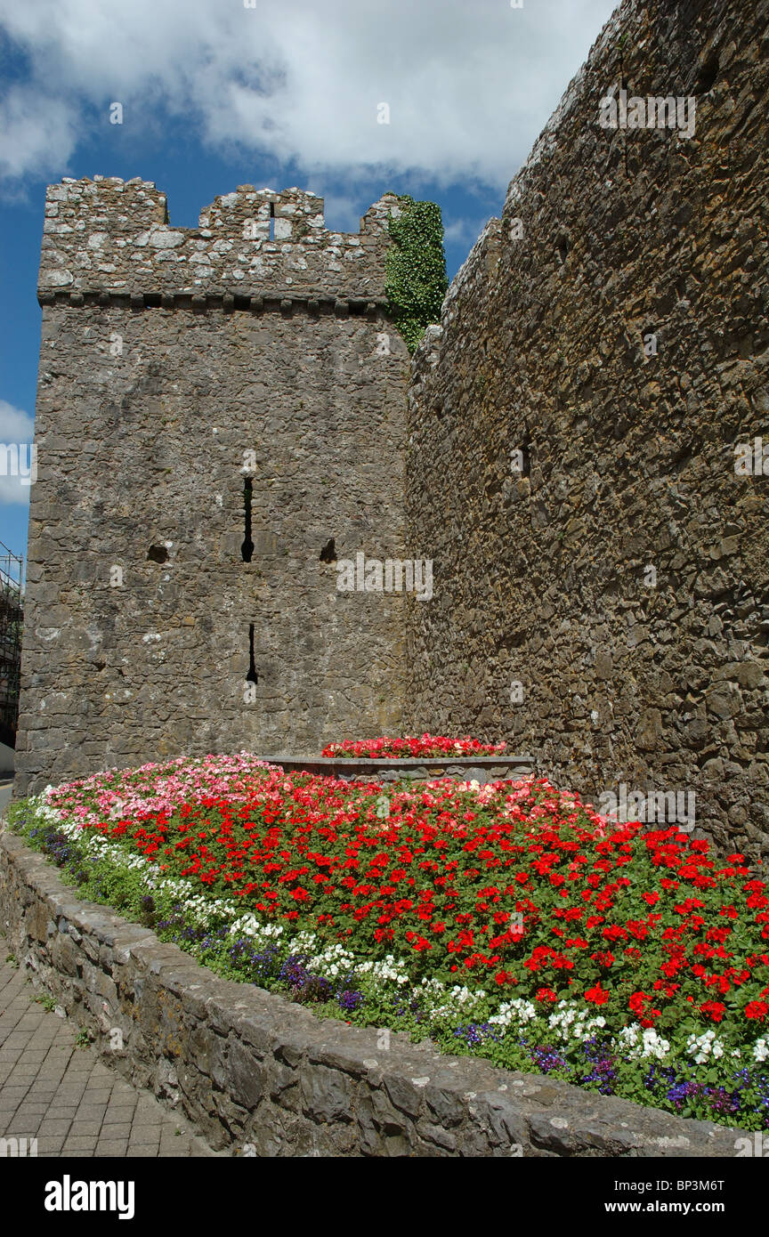 town walls, Tenby, Pembrokeshire, Wales, UK Stock Photo