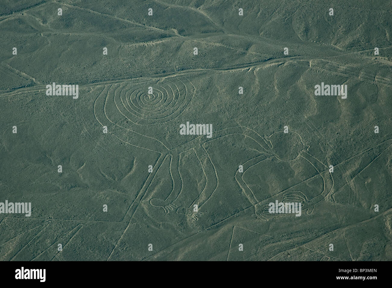 he Monkey geoglyph figure of the Nazca Lines in the Pampas de Jumana, Peru. Stock Photo