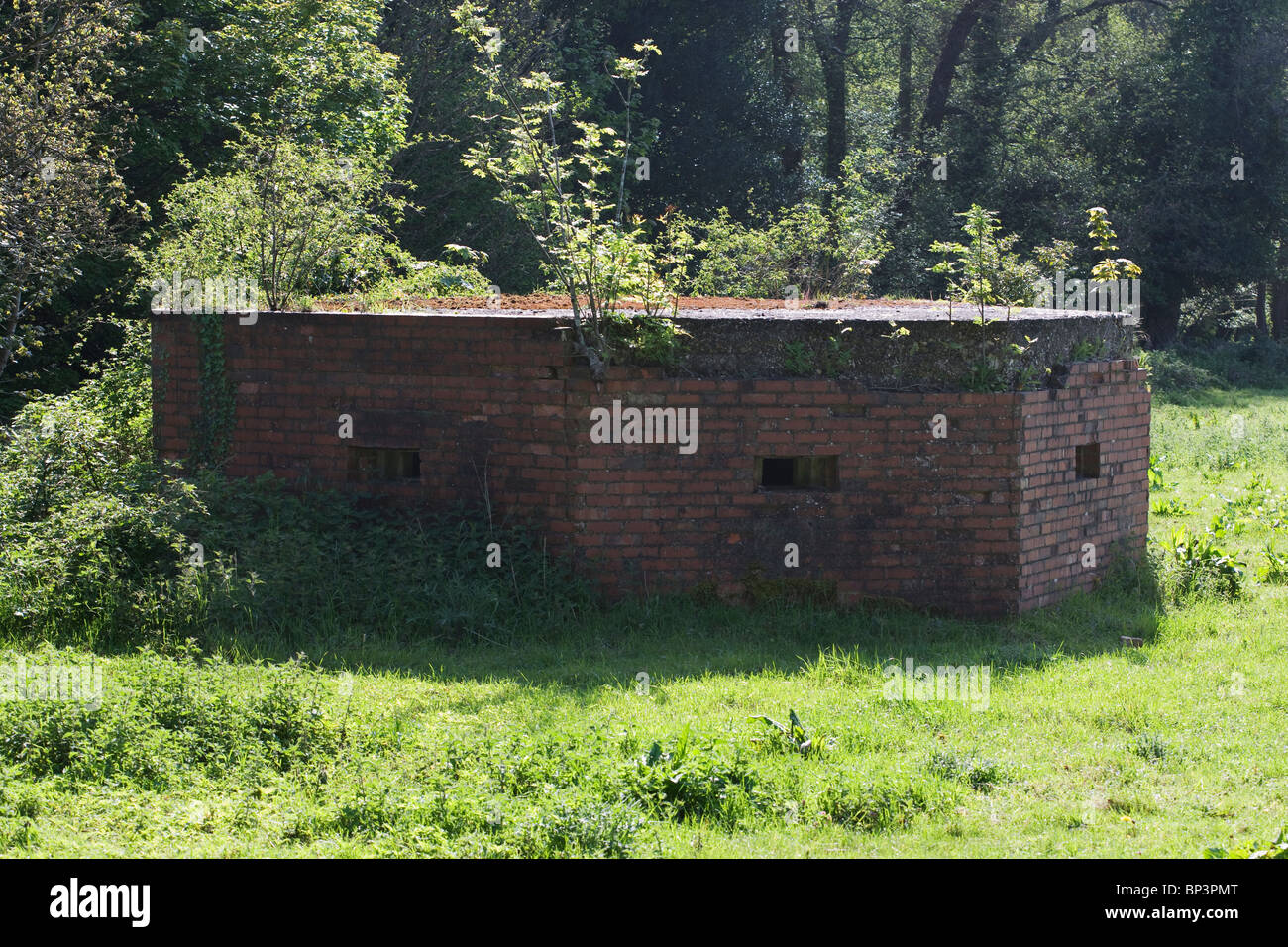 Second World War Pillbox Defense Structure Waverley Surrey Stock Photo Alamy