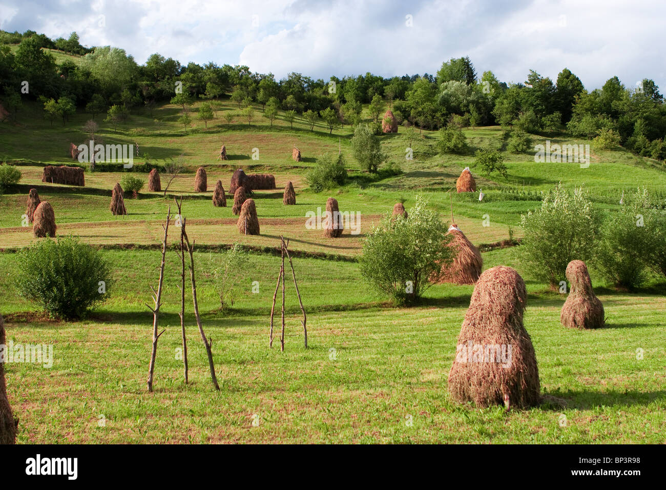 Several Haystacks High Resolution Stock Photography and Images - Alamy