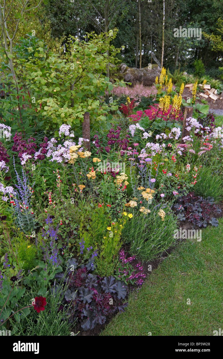 A colourful mixed flower border in a cottage garden Stock Photo Alamy