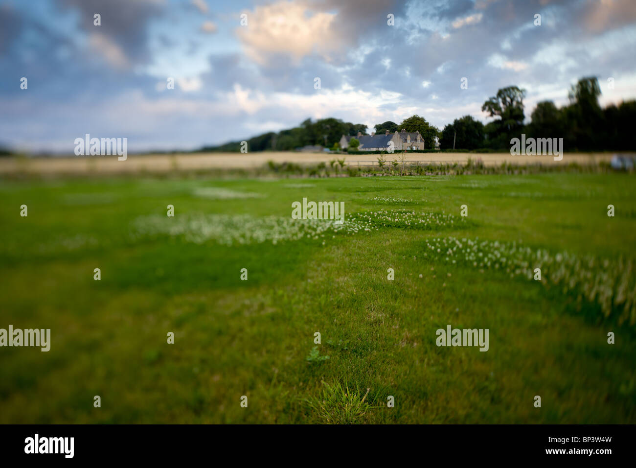 A tilt-shift photography of a countryside landscape featuring a row of cottages in the distance Stock Photo