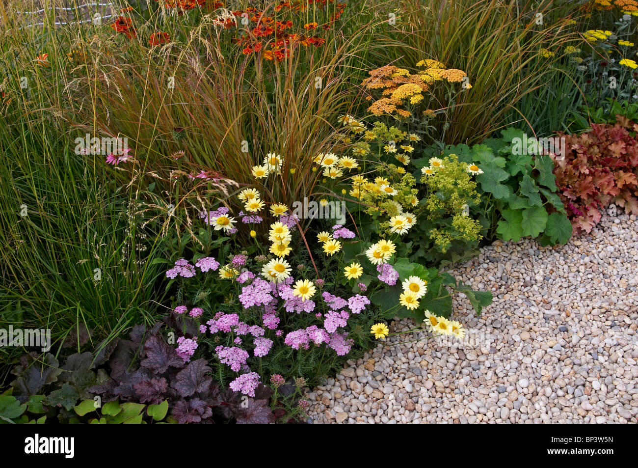Grasses in gravel garden in hi-res stock photography and images - Alamy