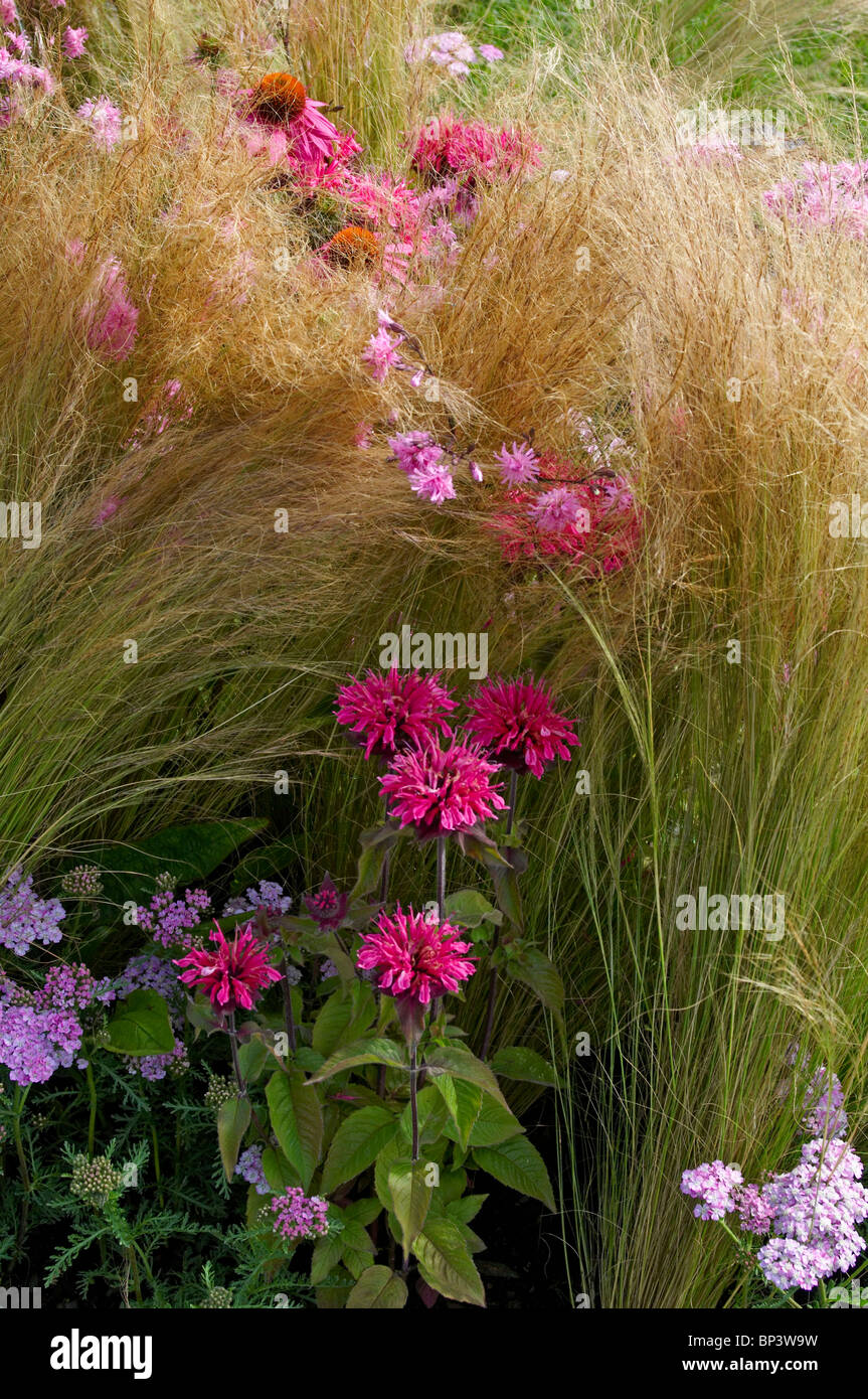 Mixed planting in a gravel garden with flowers and grasses Stock Photo
