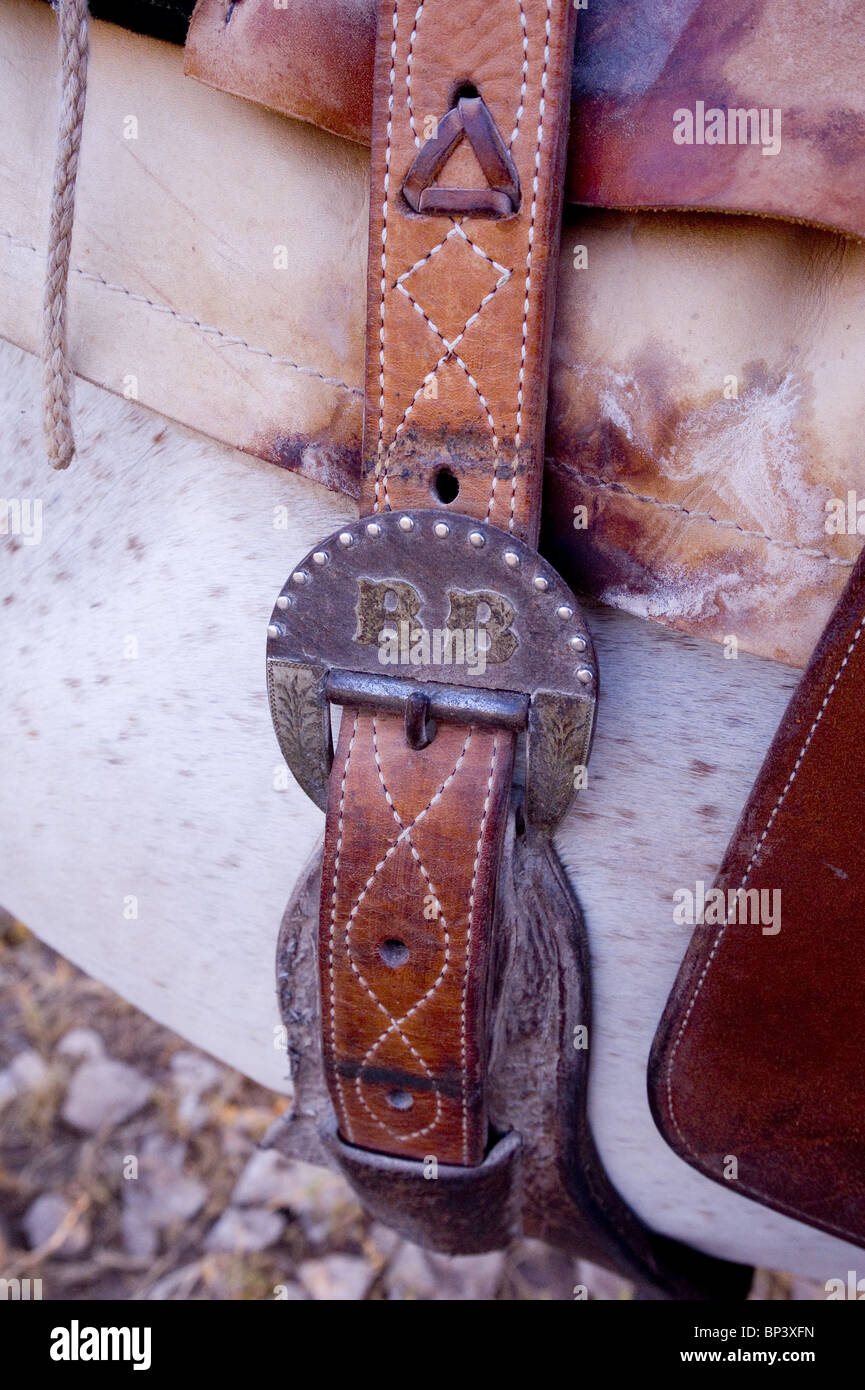 Western Saddle Buckle Cinch Stock Photo Alamy