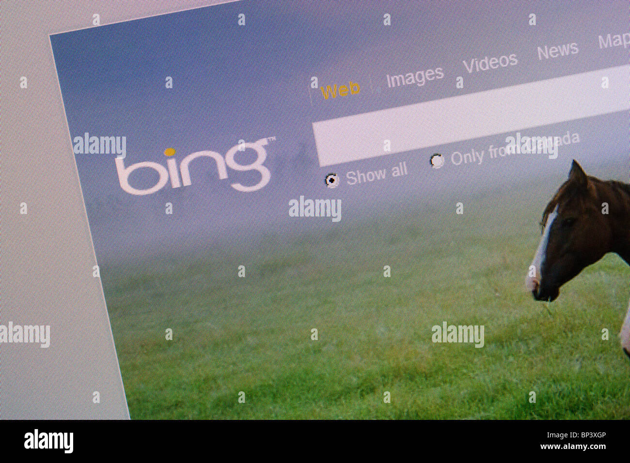 Microsoft bing search engine screen shot Stock Photo