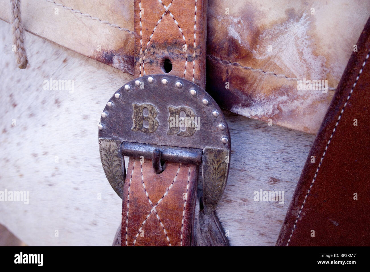 Western Saddle Buckle Cinch Stock Photo Alamy