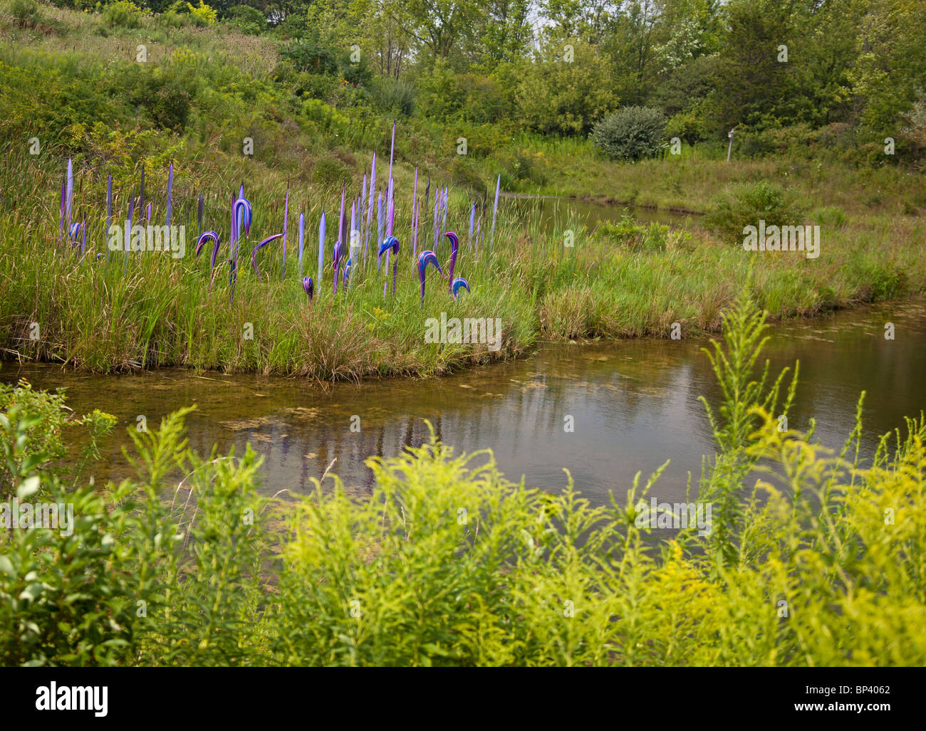 Dale Chihuly's Neodymium Reeds and Herons glass sculpture on display at the Frederik Meijer Gardens and Sculpture Park Stock Photo