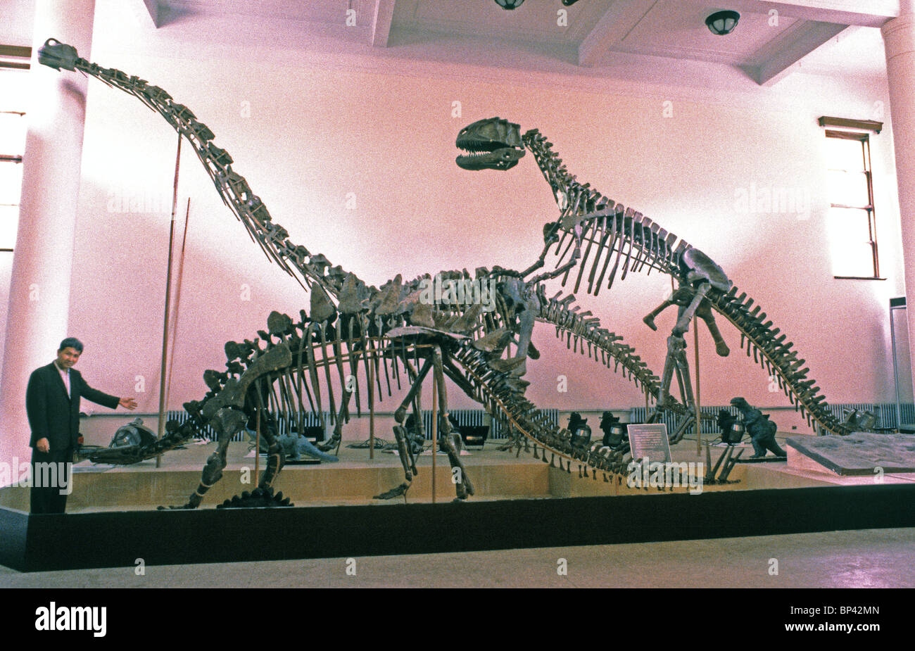 Zhen Shuonan at Dinosaur exhibit in the Beijing Museum of Natural History. 1984 Stock Photo