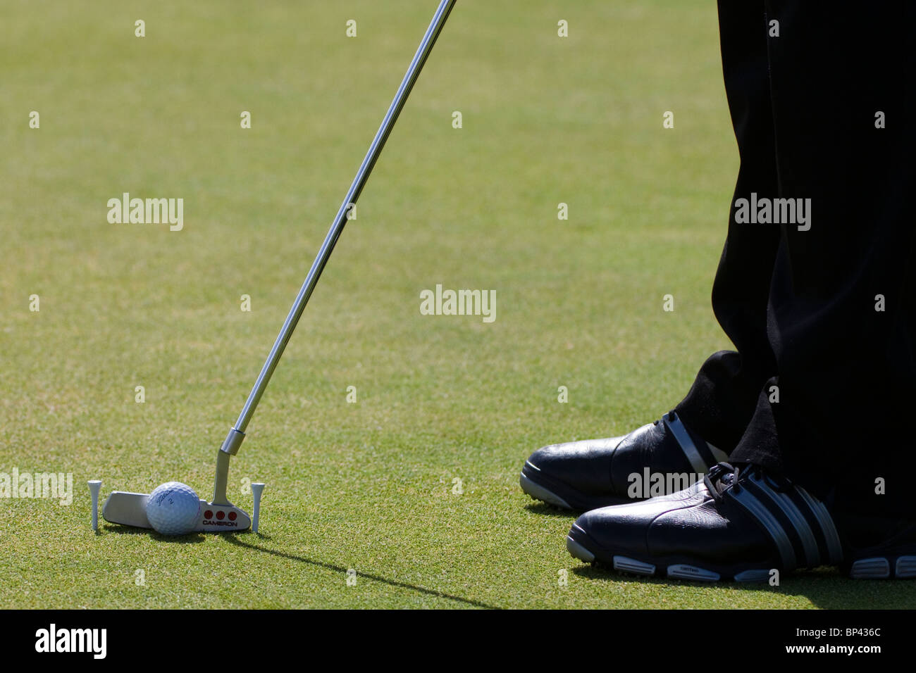 Putting practice using two golf tees as guides, Kilmarnock Barassie Golf course, Troon, Ayrshire
