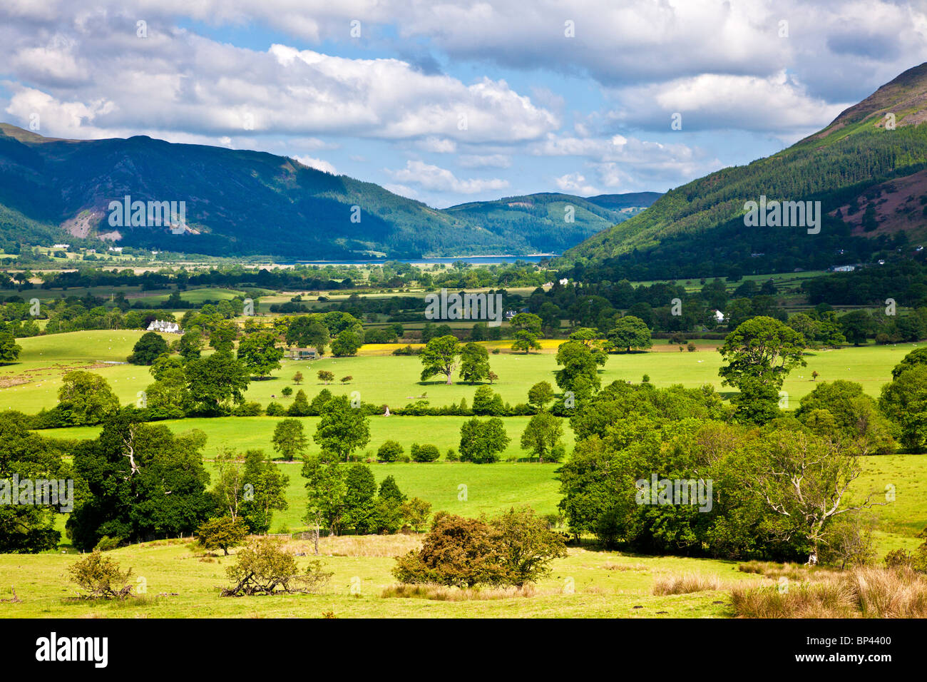 View toward Bassenthwaite from the path up to Latrigg near Keswick, Lake District, Cumbria, England, UK Stock Photo