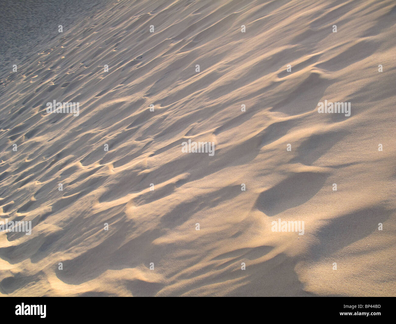 Sand Wind Ripples Wind blown waves hi-res stock photography and images - Alamy
