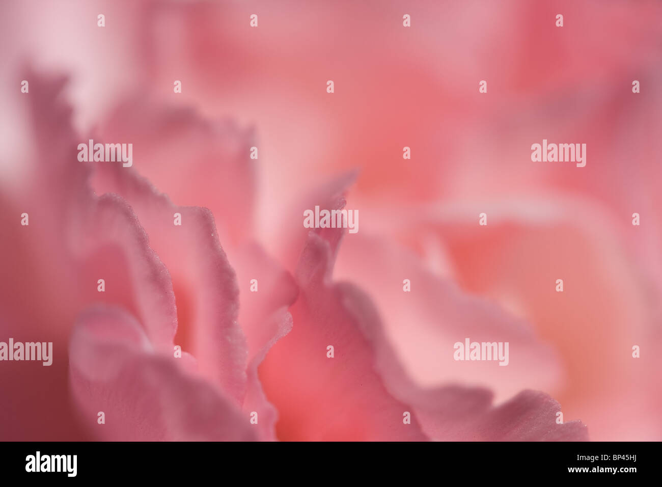 Soft focus background for copy hi-res stock photography and images - Alamy