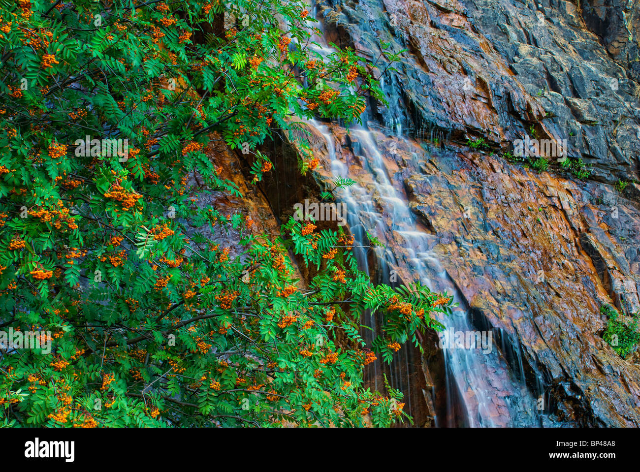 Chorreras de Despeñalagua. Sierra de Ayllon. Valverde de los Arroyos