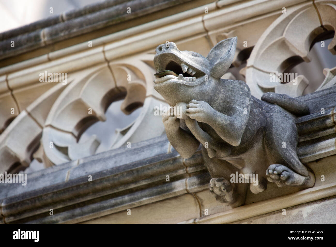 The Washington National Cathedral in Washington, DC is home to more than 200 stone-carved gargoyles. Stock Photo