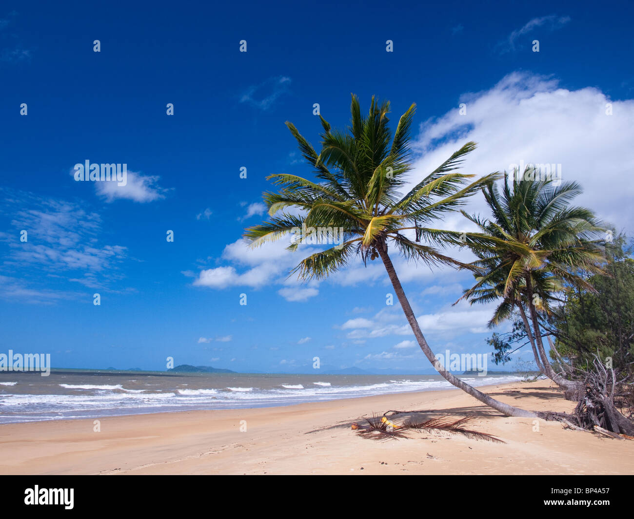 Sandy beaches, palm trees and blue skies in South Mission Beach, Queensland, Australia. Stock Photo