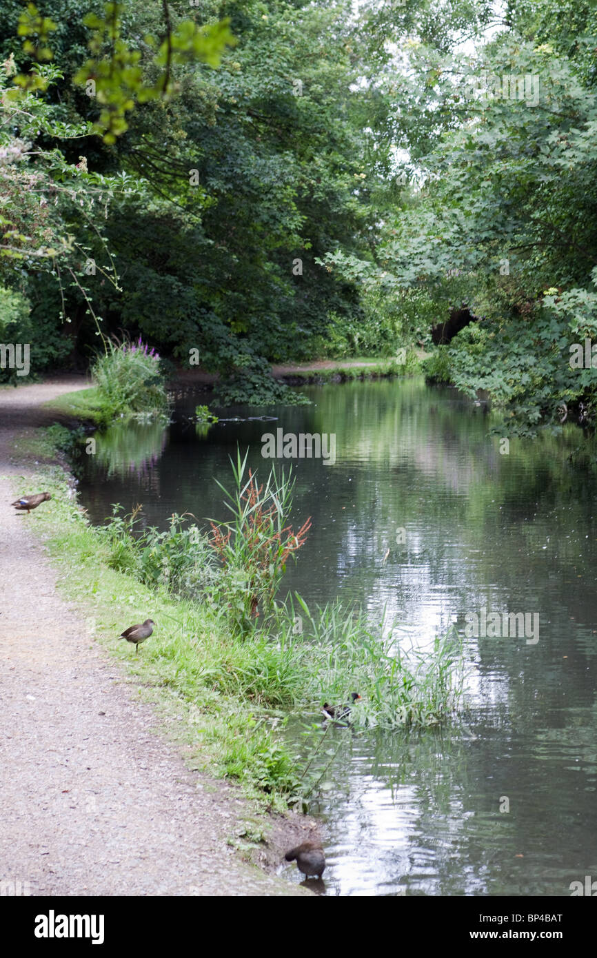 Grand Union Canal - Wendover Branch Stock Photo