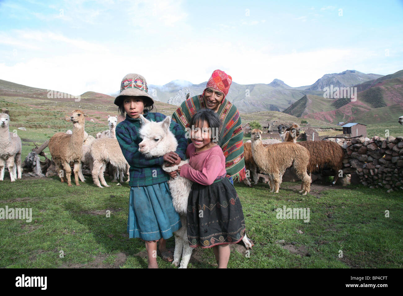 An Alpaca farmer with his family in the Andean highlands, Palccoyo, Canchis, Peru, South America Stock Photo