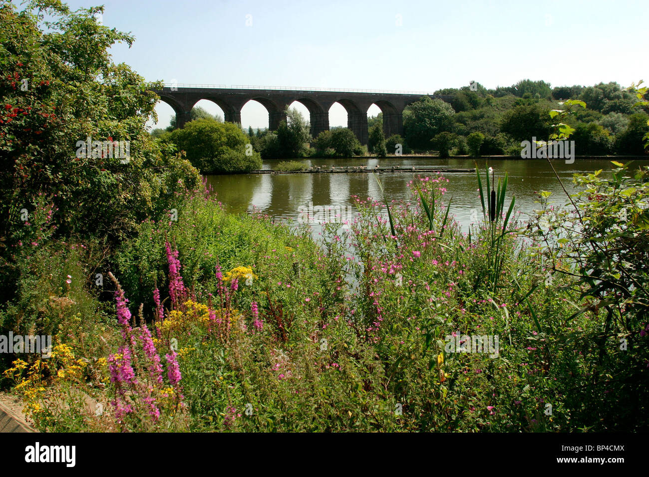 UK, England, Cheshire, Stockport, Reddish Vale Country Park, reservoir