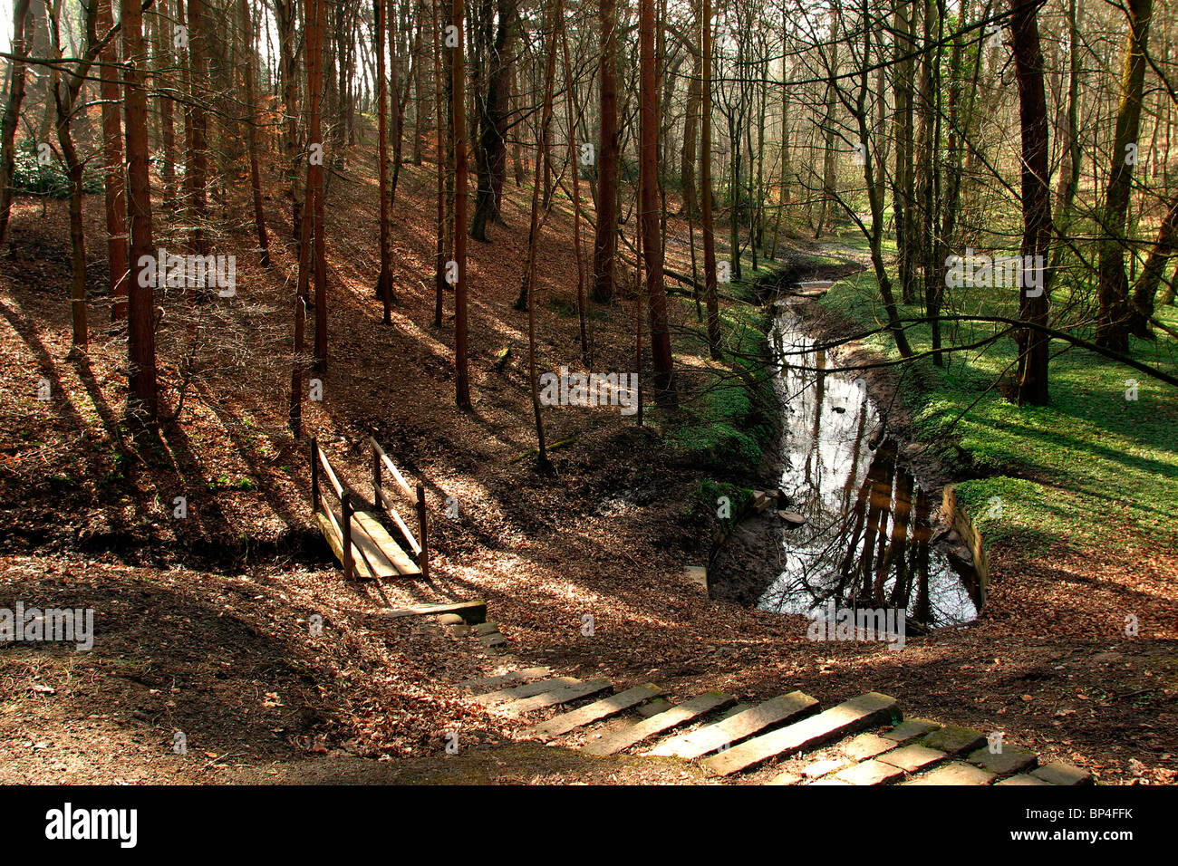 UK, England, Cheshire, Stockport, Bramall Hall, Bramhall Park, path and
