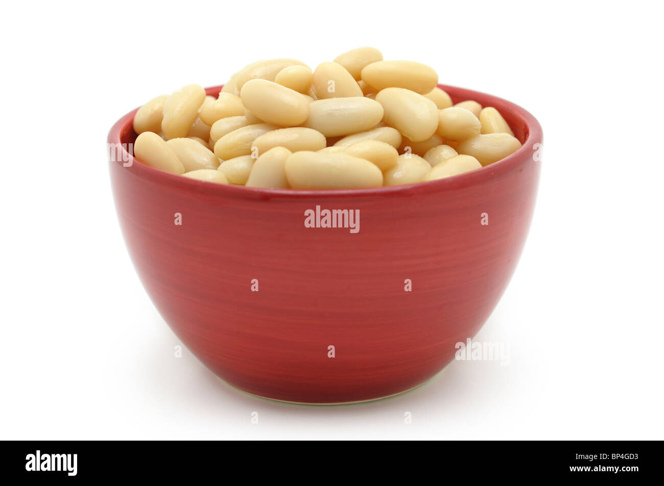 White Kidney Beans Stock Photo