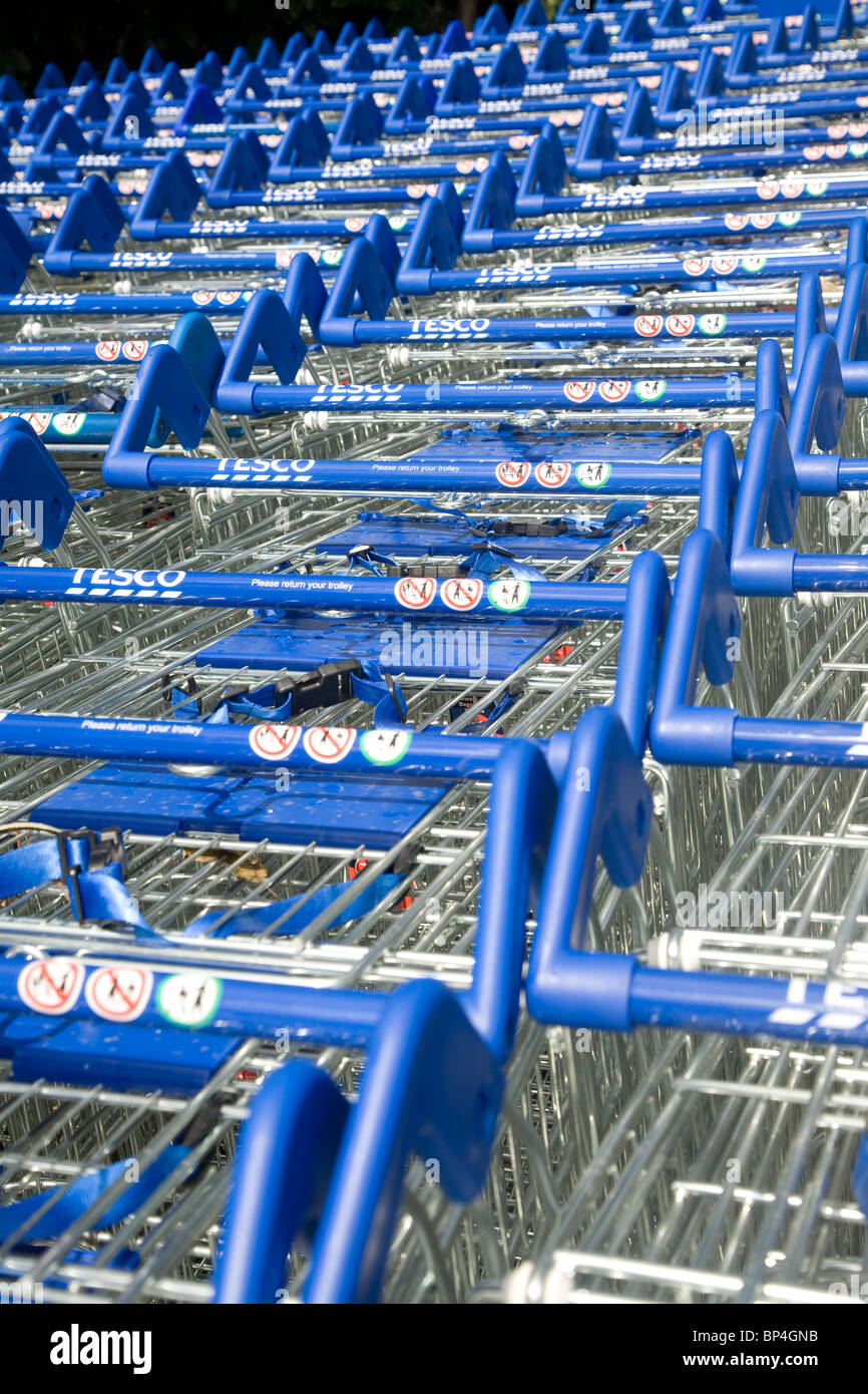 Tesco shopping trolleys Stock Photo Alamy