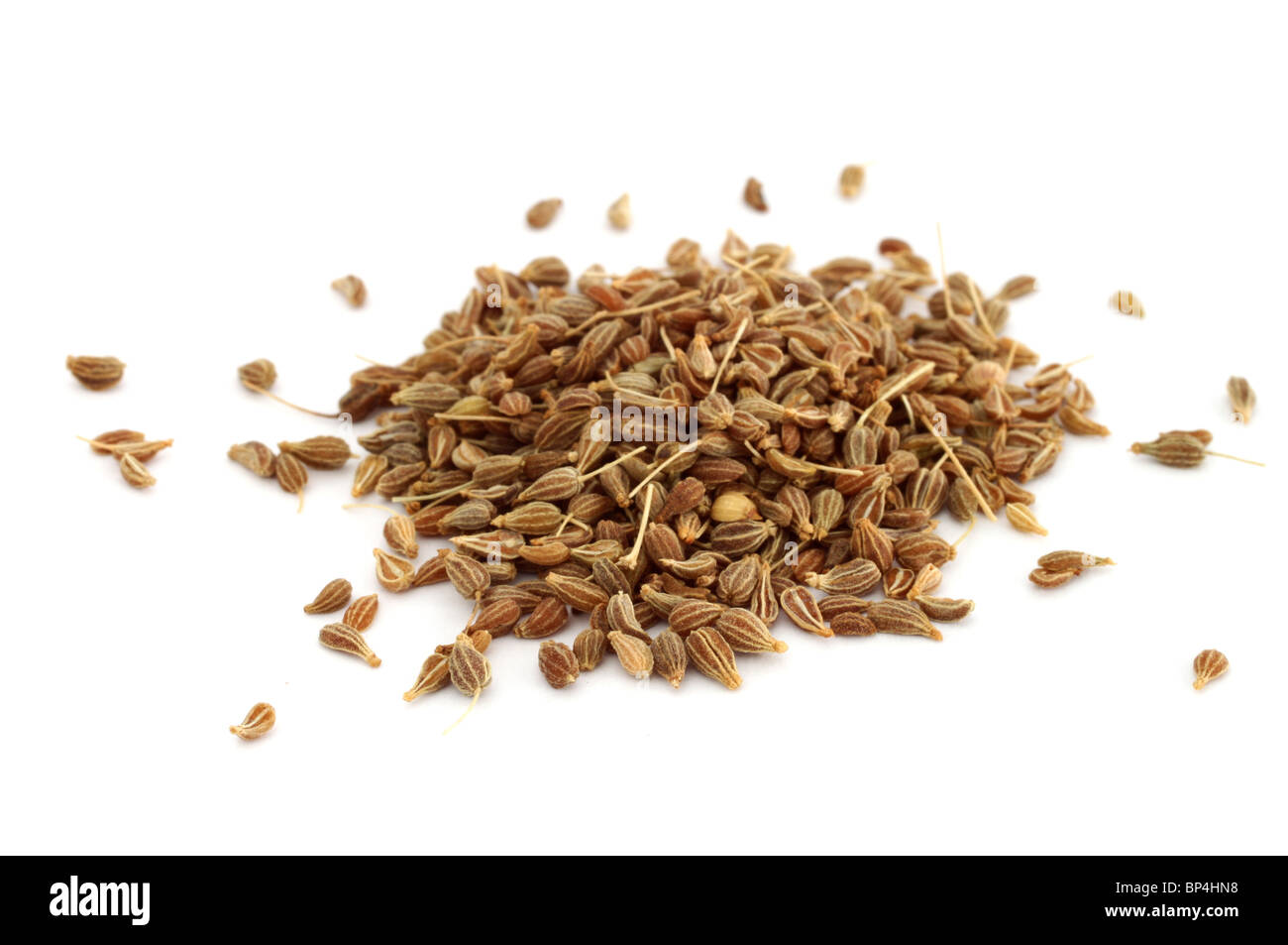 Fennel seeds over white background Stock Photo
